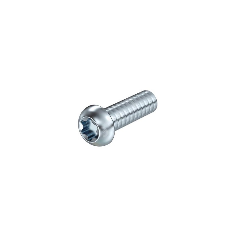 Болт с полукруглой головкой M6x20mm