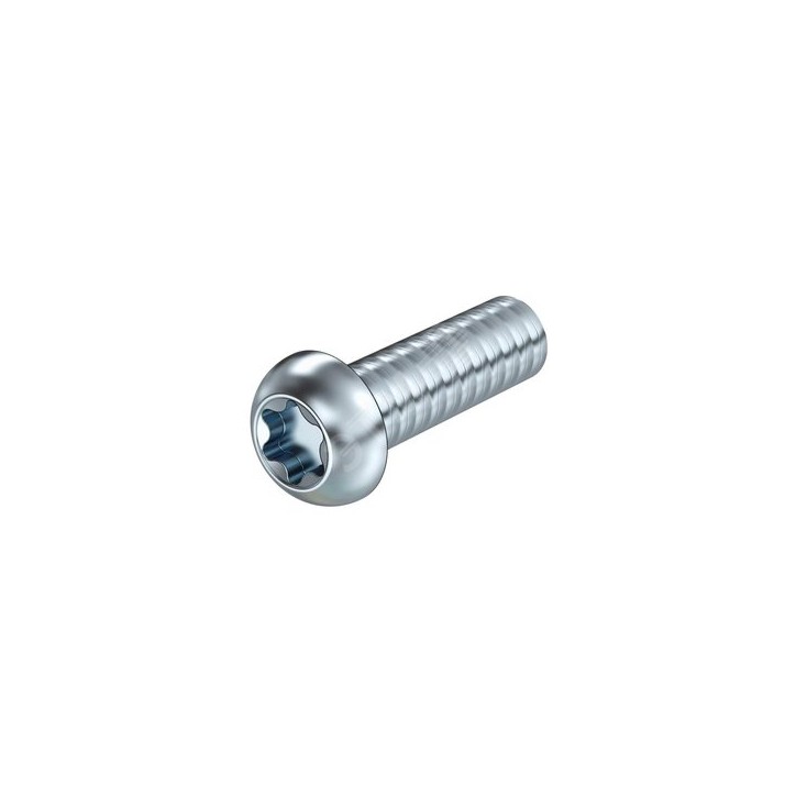 Болт с полукруглой головкой M6x20mm