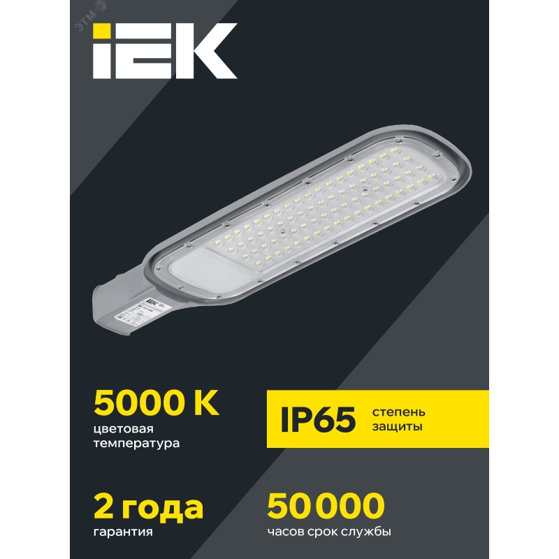 Светильник LED консольный уличный ДКУ 1012-100Ш 5000К IP65 серый