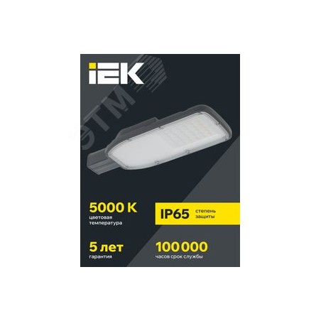 Светильник LED консольный уличный ДКУ 1004-50Ш 5000К IP65 серый
