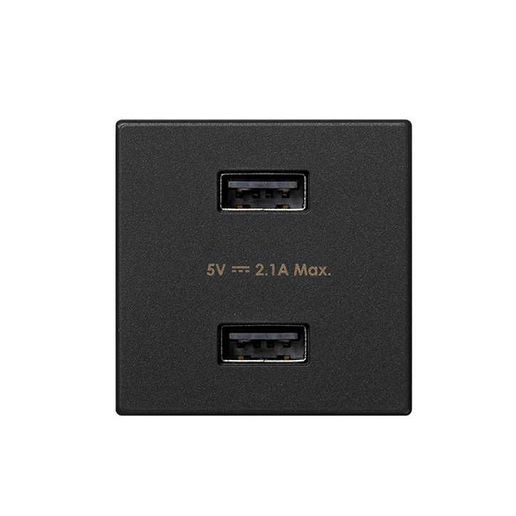 Зарядное устройство 2xUSB