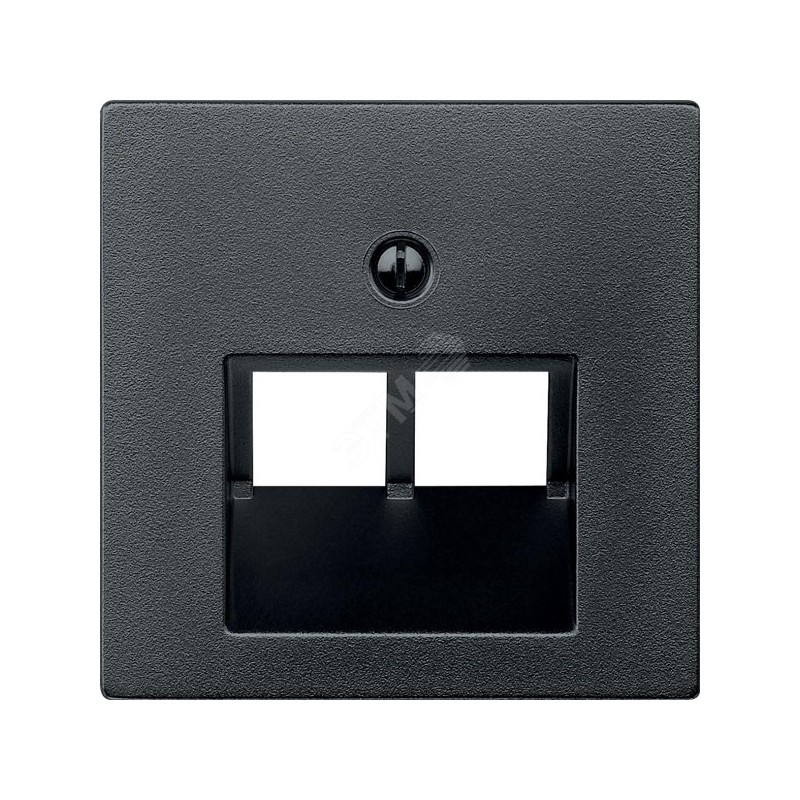 Merten Накладка на розетку компьютерную 2 поста антрацит