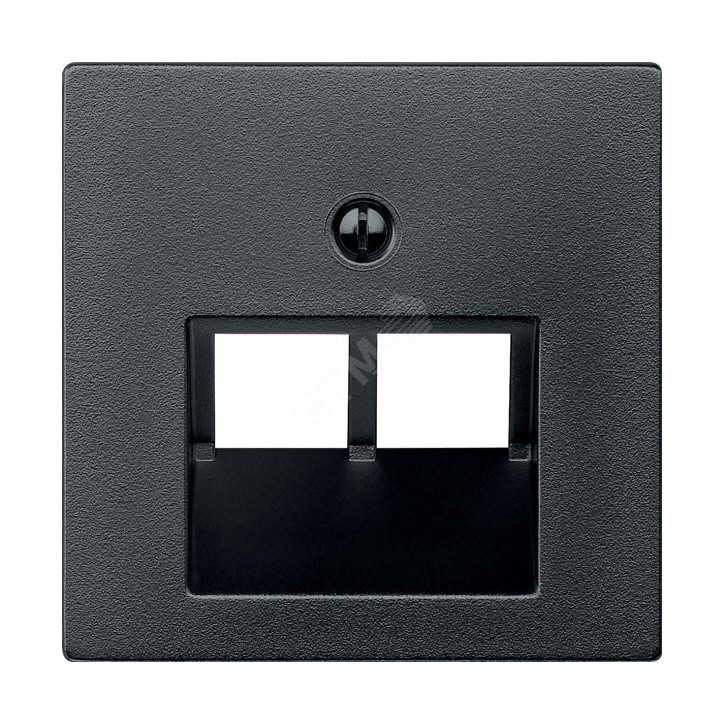Merten Накладка на розетку компьютерную 2 поста антрацит