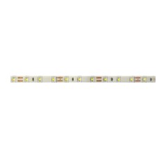 Лента светодиодная PLS PRO 2835/168-24V - 6000K IP20 5m Jazzway