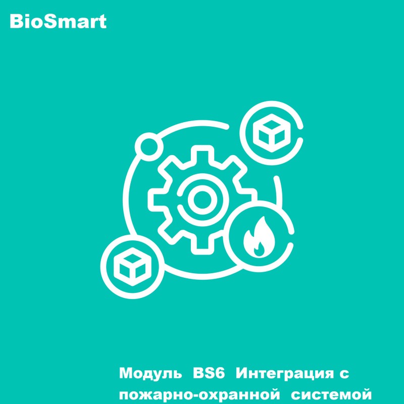 Модуль BS6 Интеграция с пожарно-охранной системой Bolid