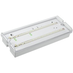 LIGHTING Светильник аварийный ДПА 5044-3 постоянного/непостоянного действия совместим с УДТУ 3ч IP65