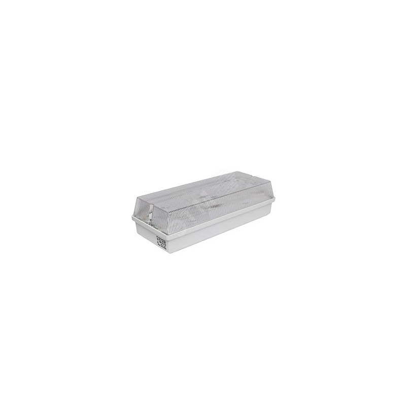 Аварийный светильник BS-UNIVERSAL-51-L1-INEXI2