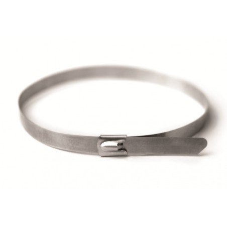 Хомут из нержавеющей стали AISI 316 8х601( 1уп-20шт)