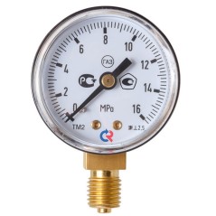 ТМ-210Р.00(0-25МРа)M12x1,5.2,5. О2