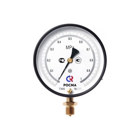 ТМ-610РМТИ.00(0-0,6MPa)М20х1,5.0,6 ЗП