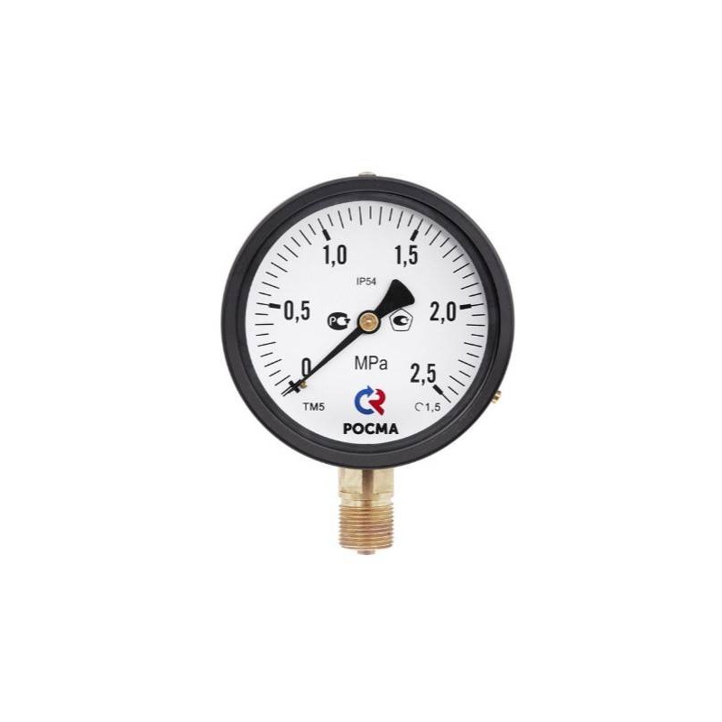 Вакуумметр радиальный ТВ-110Р.00 (-0.1-0 МРа) М10х1.0 кл.2.5