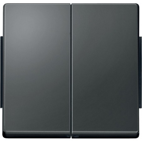 Aquades Клавиша 2шт IP44 антрацит