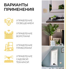 Выключатель дистанционного управления 230V 500W двухклавишный, TM82, золото