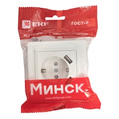 Розетка Минск 1-местная СП с заземлением 16А белая с защитными шторками с 2 USB 2,1А