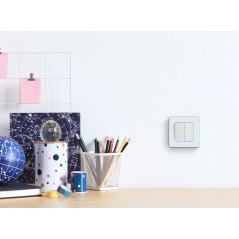 Выключатель двухклавишный - Legrand Inspiria - 10А 250В безвинтовые зажимы - белый