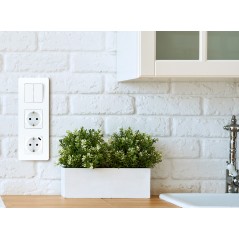Выключатель двухклавишный - Legrand Inspiria - 10А 250В безвинтовые зажимы - белый