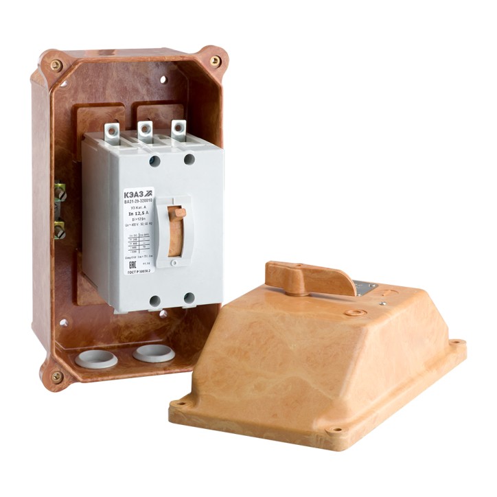 ВА21-29В-340010-4IH-660-IP54 50,00А У2 ОТК ВА21-29В-340010-4IH-660-IP54 50,00А У2 ОТК