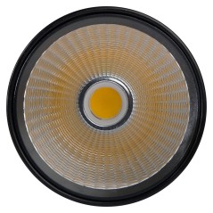 PTR 1725 25w 4000K 24° BL (чёрный) IP40 Jazzway