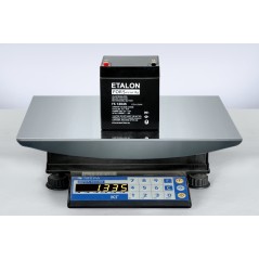 Аккумулятор FS 12В 4,5Ач