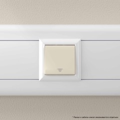 Avanti Кнопка ''Ванильная дымка'', 16A, 2 модульная