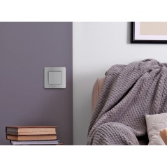 Выключатель одноклавишный - Legrand Inspiria - 10А 250В безвинтовые зажимы - алюминий