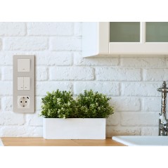 Выключатель одноклавишный с подсветкой/индикацией - Legrand Inspiria - 10А 250В безвинтовые зажимы -