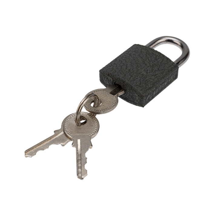 Замок навесной СЧ-25 Багажный Замок навесной СЧ-25 Багажный