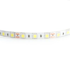 Лента светодиодная LEDх60/м 5м 14.4w/m 12в IP65 дневной