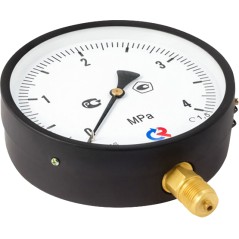 ТМ-610РМТИ.00(0-1,6MPa)М20х1,5.1,6 ЗП