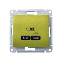 GLOSSA USB РОЗЕТКА тип-C 65W высокоскор.заряд. QC, PD, механизм, ФИСТАШКОВЫЙ