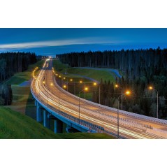 Светильник LED консольный уличный ДКУ 1004-50Ш 5000К IP65 серый