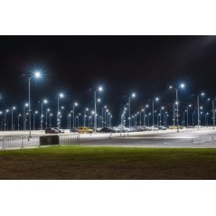 Светильник LED консольный уличный ДКУ 1002-30Д 5000К IP65 серый