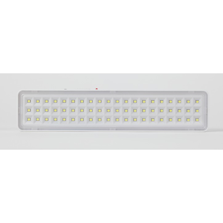 Светильник светодиодный аварийный непостоянный DBA-103-0-20 60LED 5ч IP20 (40/1600)