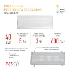 Аварийный светильник DPA-301-1-65 постоянный 40LED 3ч IP65 NiCD