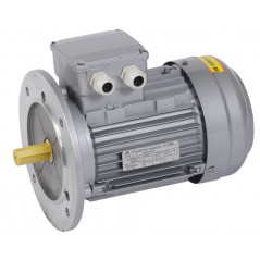 Электродвигатель трехфазный АИР 71B4 380В 0,75кВт 1500об/мин 3081 DRIVE