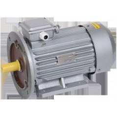 Электродвигатель трехфазный АИР 100S4 380В 3кВт 1500 об/мин 2081 DRIVE