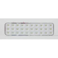 Светильник светодиодный аварийный непостоянный DBA-102-0-20 30LED 5ч IP20 выход (40/1920)