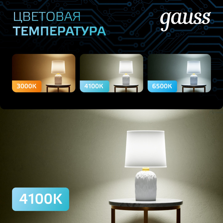 Лампа светодиодная LED 16 Вт 1540 лм 4100К шар G95 нейтральный E27 AC 220В Black Gauss Лампа светодиодная LED 16 Вт 1540 лм 4100К шар G95 нейтральный E27 AC 220В Black Gauss