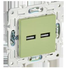 SKANDY Розетка USB A+A 3,1А SK-R15G мятный IEK