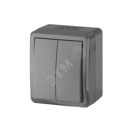 Выключатель двухклавишный наружный (открытой установки) IP54 серый 10А 250В винтовые зажимы ЭРА Эксперт 11-1404-03