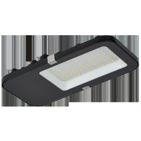 Светильник LED консольный уличный ДКУ 4002 60Д 5000К IP65 GENERICA