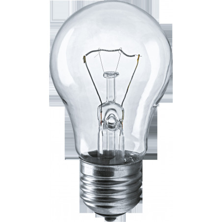 Лампа накаливания ЛОН 40вт А55 230в Е27