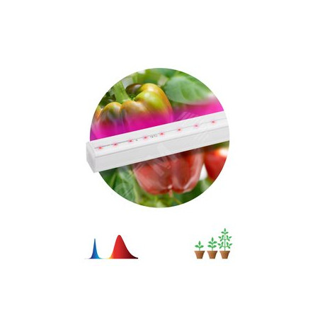 Линейный светильник красно-синего спектраFITO-16W-Т5-N (30/840)