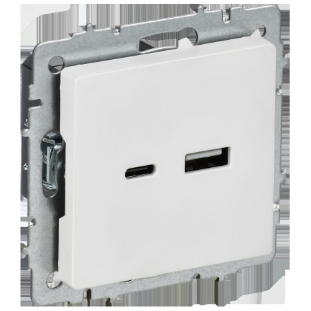 BRITE Розетка USB A+C 18Вт РЮ11-1-БрАБ арктический белый IEK