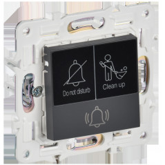 SKANDY Кнопка звонка с индикацией для отелей 10А SK-V17T титан IEK