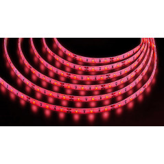 Лента светодиодная NLS-3528R60-4.8-IP65-12V-Pro R5