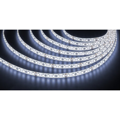 Лента светодиодная NLS-2835CW120-9.6-IP65-24V 5м