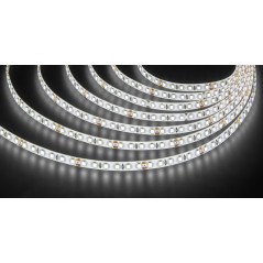 Лента светодиодная NLS-2835W120-9.6-IP65-24V 5м