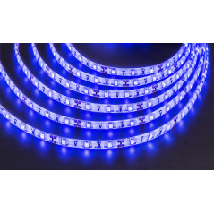 Лента светодиодная NLS-3528B60-4.8-IP65-12V-Pro R5