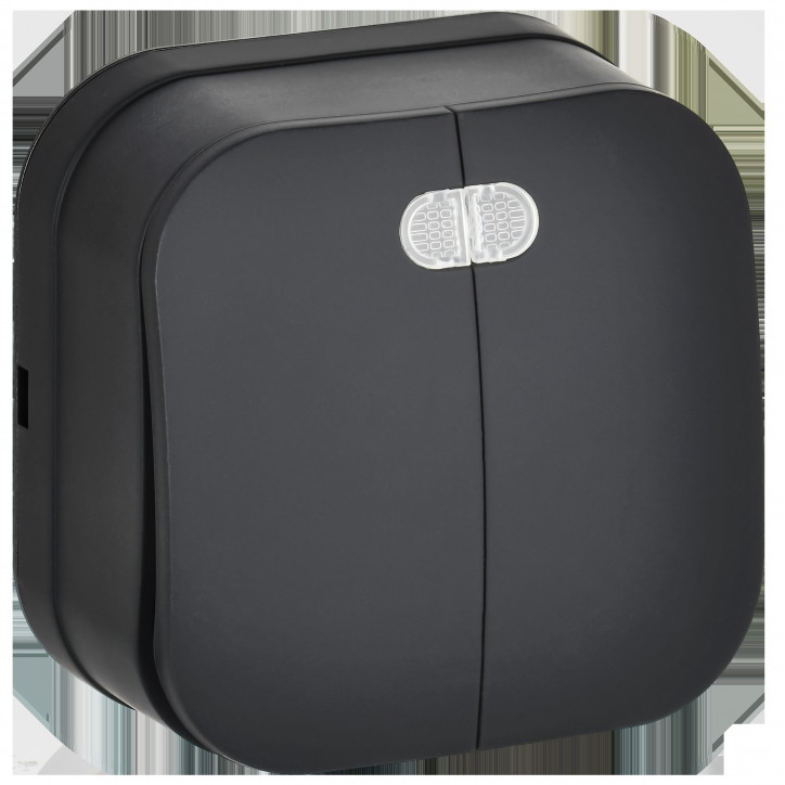 GLORY Выключатель 2-клавишный для открытой установки с индикацией 10А ВС20-2-1-ХЧм черный матовый IEK GLORY Выключатель 2-клавишный для открытой установки с индикацией 10А ВС20-2-1-ХЧм черный матовый IEK